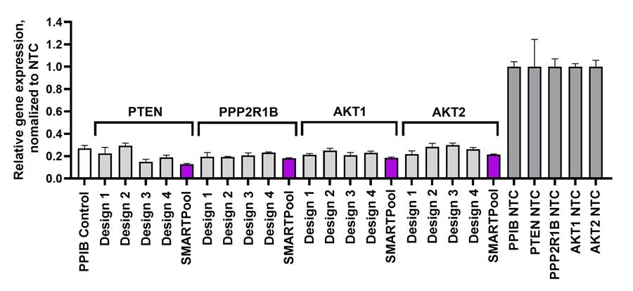 Robust gene target knockdown in primary lung fibroblasts using Accell 2.0 siRNA
