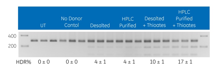 Gene editing utilizing HDR at the EMX1 locus with multiple DNA donor oligo options Gene editing utilizing HDR at the EMX1 locus with multiple DNA donor oligo options