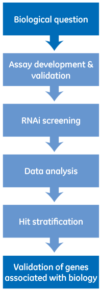 General screening workflow