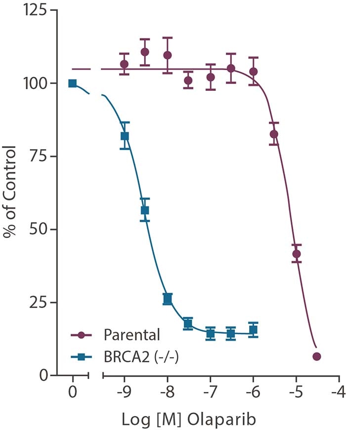 Synthetic Lethality Fig 1