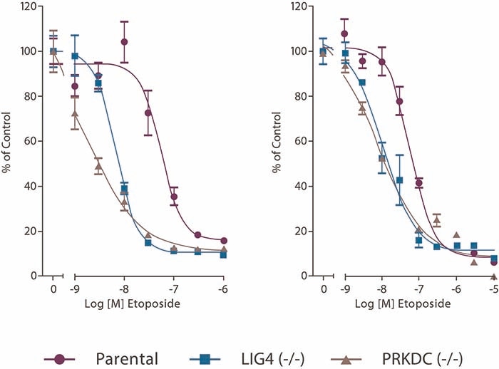 Synthetic Lethality Fig 2