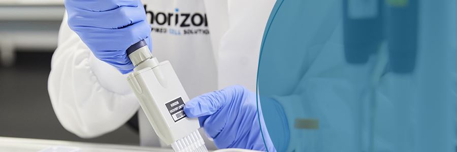 Horizon Scientist setting up an siRNA transfection with an 8 channel pipette