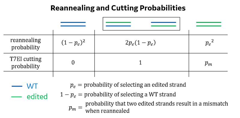 Figure2__t7e1EquationDerivation