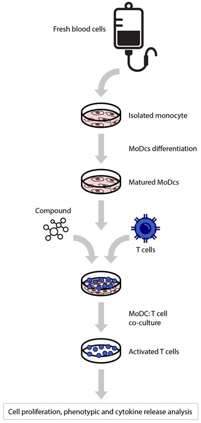 MLR workflow