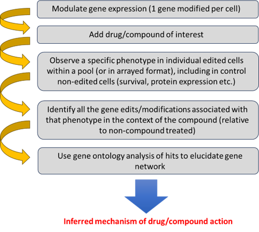 moa-workflow