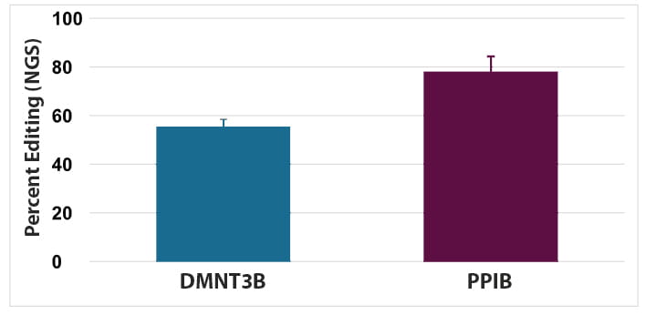 Percent editing of PPIB and DNMT3B genes in T cells