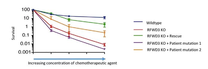 Rescue and disease models