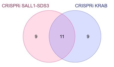 crispri-aio-wg-library-blog-post-figure-4