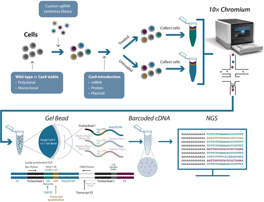 CRISPRsc workflow image