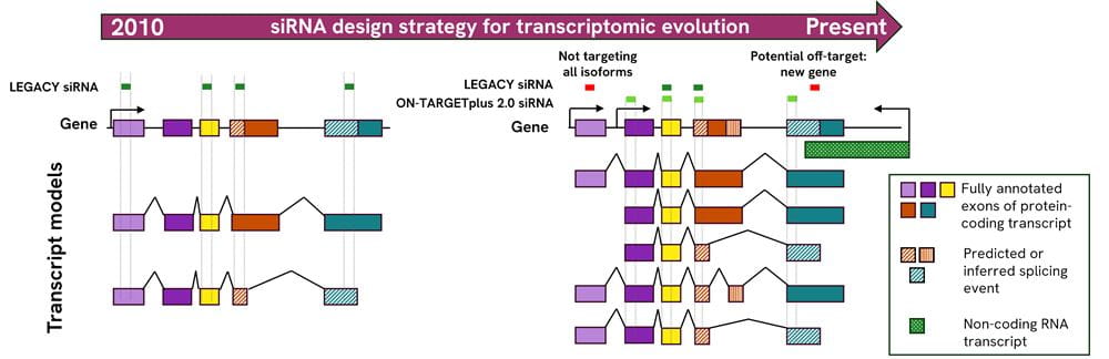expansion-transcript-isoforms