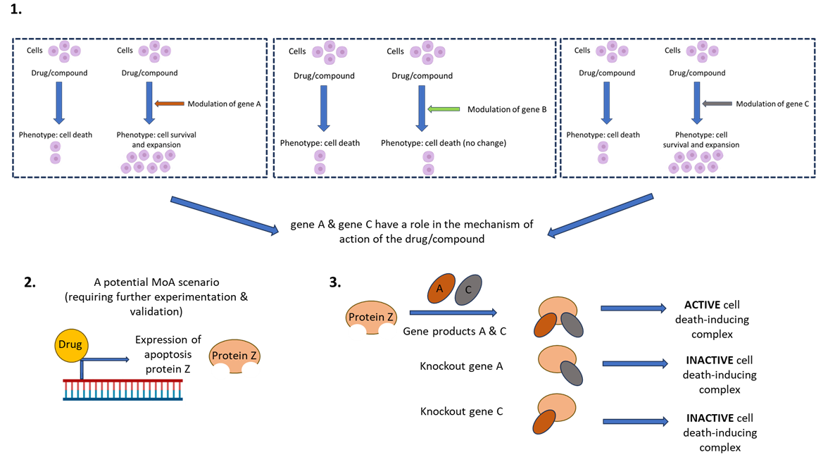 fgs-moa-blog-fig2