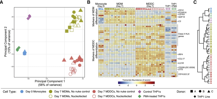 Fig 2 part ABC Marsen et al.