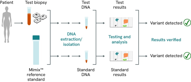 reference standards Mimix research workflows