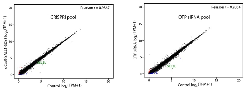 Gene expression levels data