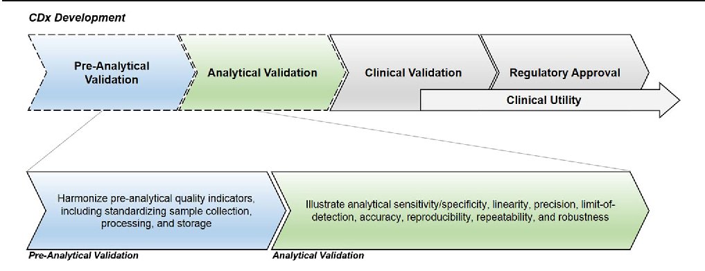 stages-of-validation-in-cdx-development-1