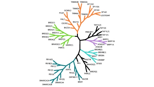 bromodomain containing proteins thumbnail