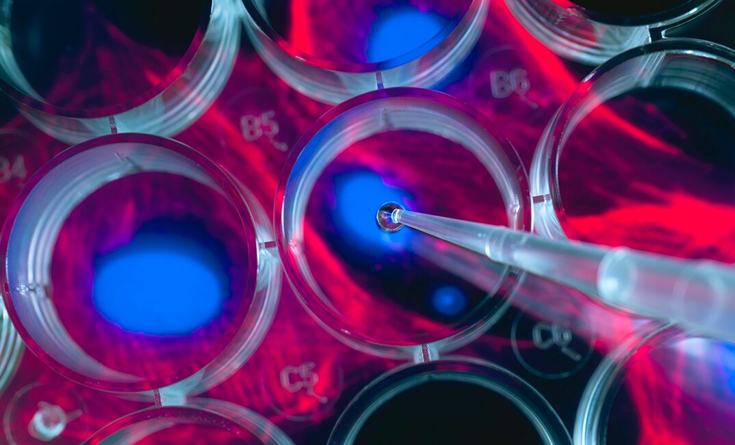 Cell Lines by Research Area hero