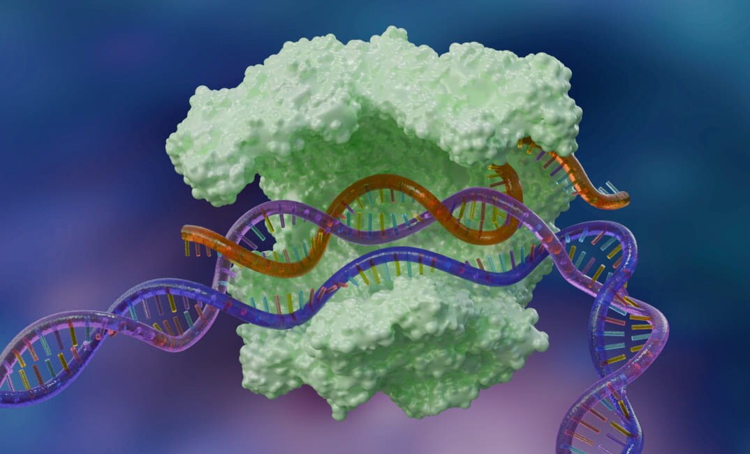 CRISPR knockin image