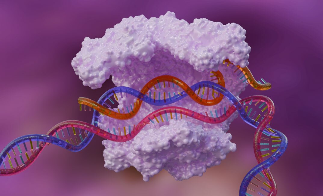 CRISPR knockout image