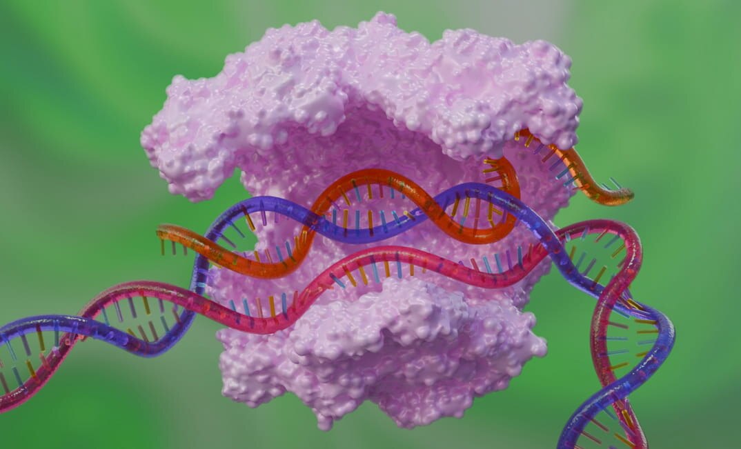 Image representing CRISPR activation