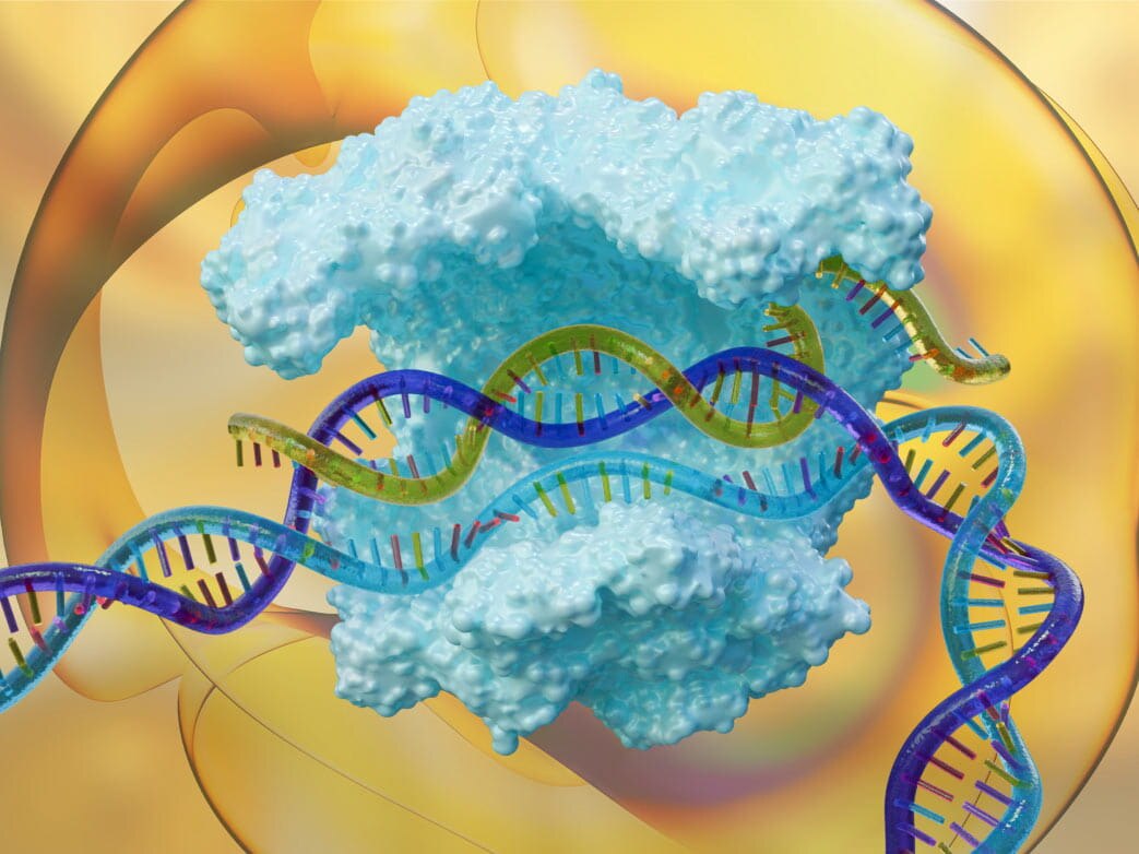 3D model of CRISPR cas9 enzyme