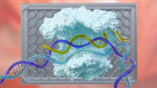 CRISPR cas9 enxyme and microplate