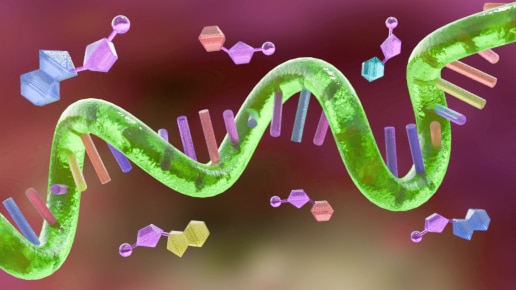 Single stranded RNA and antisense oligonucleotides
