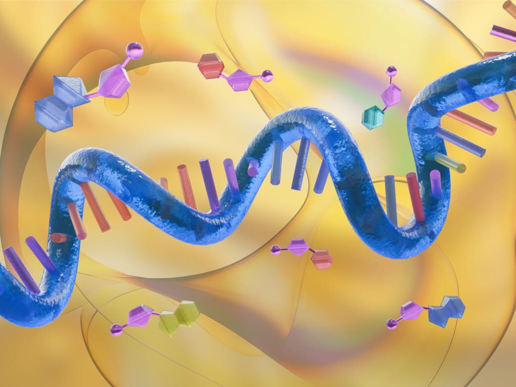Custom Synthesis - single stranded RNA and antisense oligonucleotides