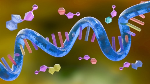 custom webtools – Single stranded RNA and antisense oligonucleotides