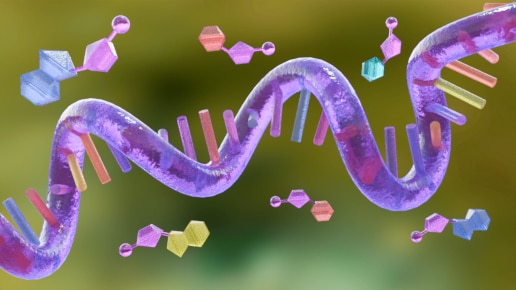 Single stranded RNA and antisense oligonucleotides