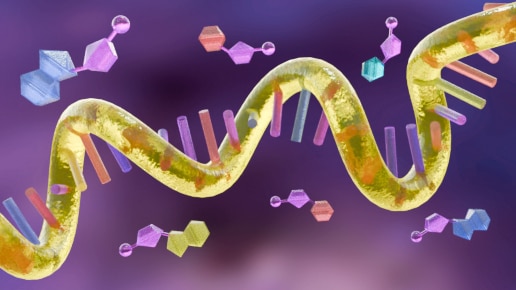 RNA synthesis - Single stranded RNA and antisense oligonucleotides