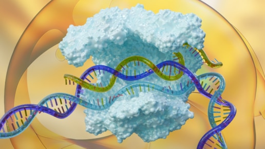3D model of CRISPR cas9 enzyme