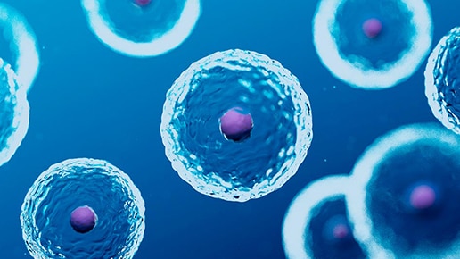 Illustration of human cells