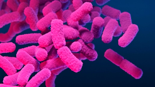 E.coli infection