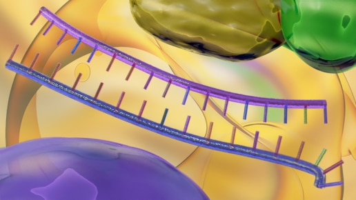 Double stranded RNA