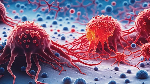  Cancer cell models