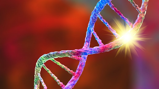 Cell line engineering services