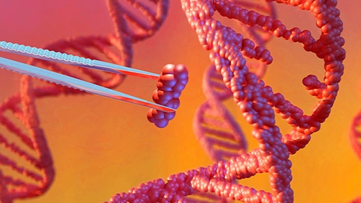 CRISPR-ready Cas9 stable cell lines