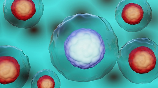 HAP-1 double KO cell lines 