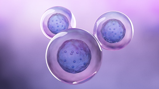 HAP1 Parential cell lines