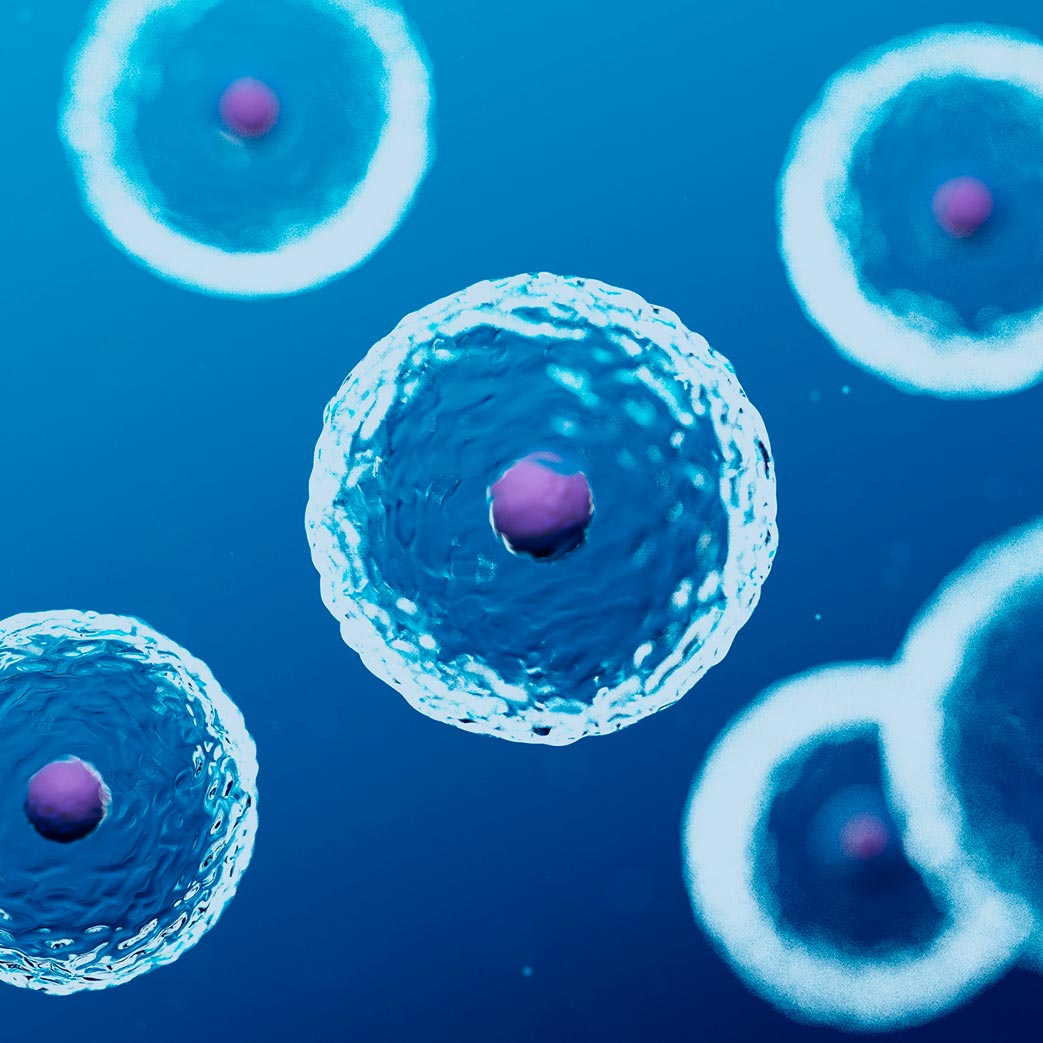 Engineered cell lines