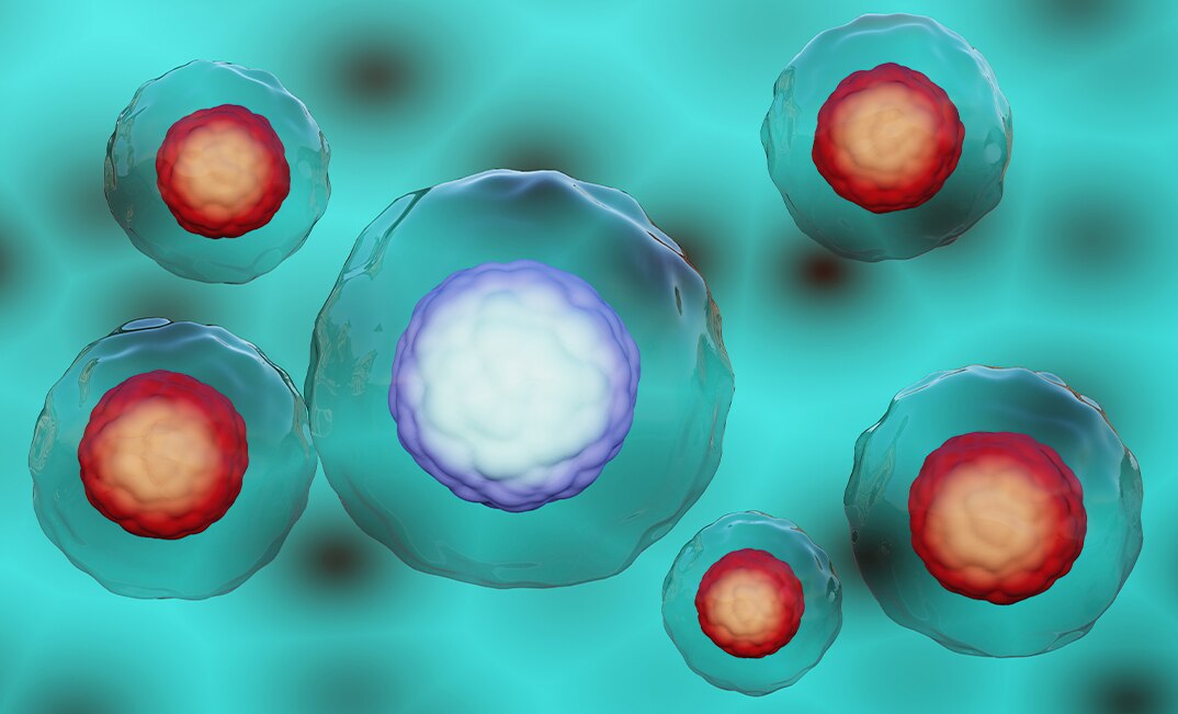 HAP1 double knockout cell lines. Healthy and dead cells.