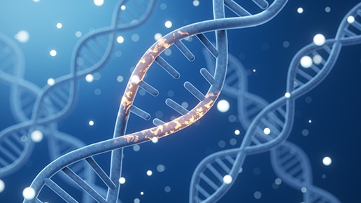  CRISPRmod CRISPRa dCas9-VPR stable cell lines
