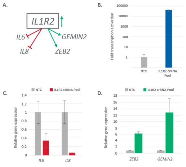 Analysis of downstream gene expression following IL1R2 activation
