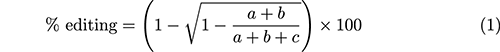 equations path 1