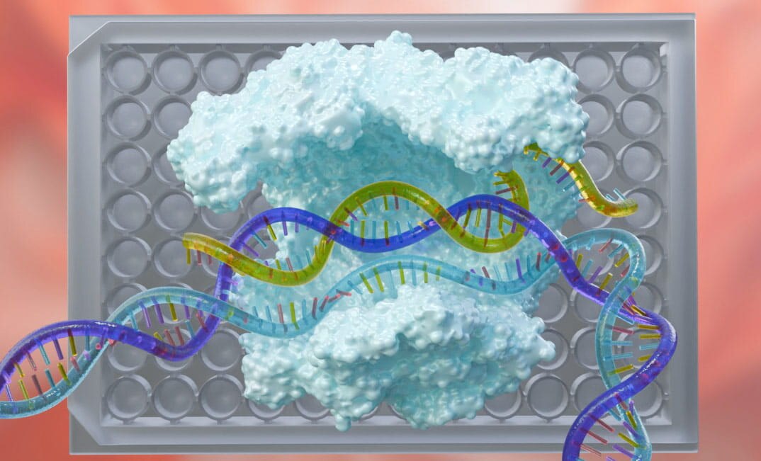 CRISPR screening libraries