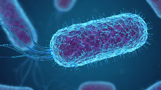 E.coli imagery