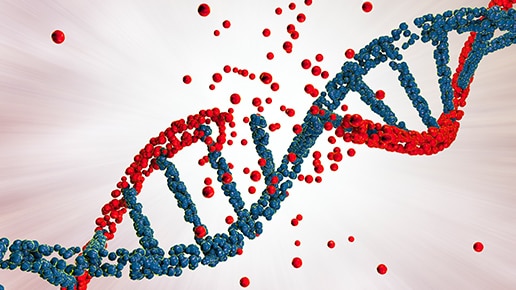 fcDNA reference standards