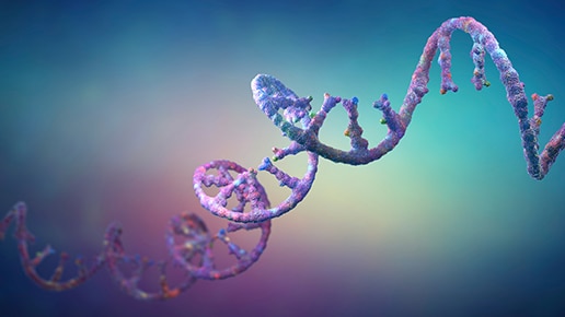 RNA fusion reference standards