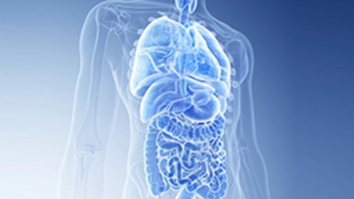 Cancer specific reference standards